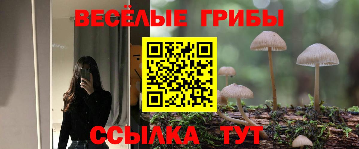 Котовск  Псилоцибиновые грибы ЛСД  Вход с VPN 